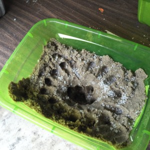 Rock Mold