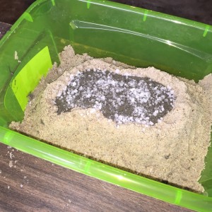 Mixture in mold